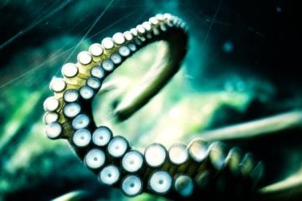Официальный сайт kraken kraken clear com
