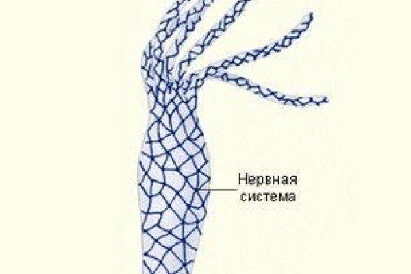 Войти в кракен