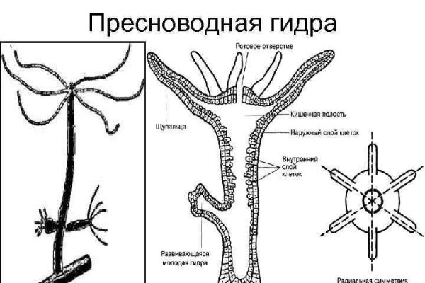 Магазин супернета