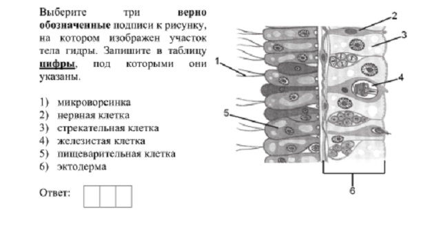 Кракен сайт вход kraken torion