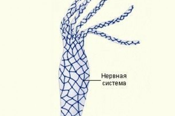 Запрещенный сайт кракен