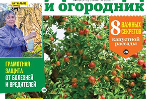 Скрытый интернет как войти