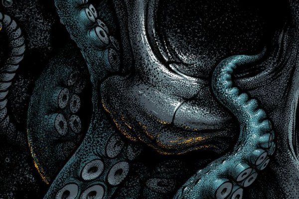 Как найти kraken