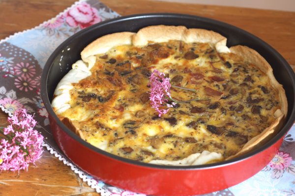 Кракен бошки