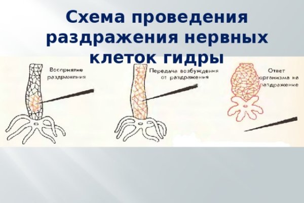 Кракен krk store com