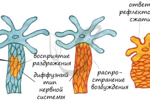 Kraken это