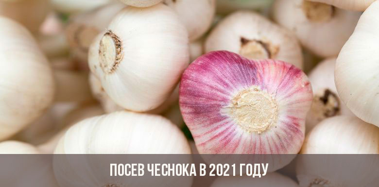 Кракен ссылка на сайт тор