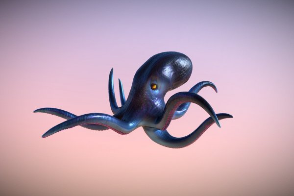 Kraken19at